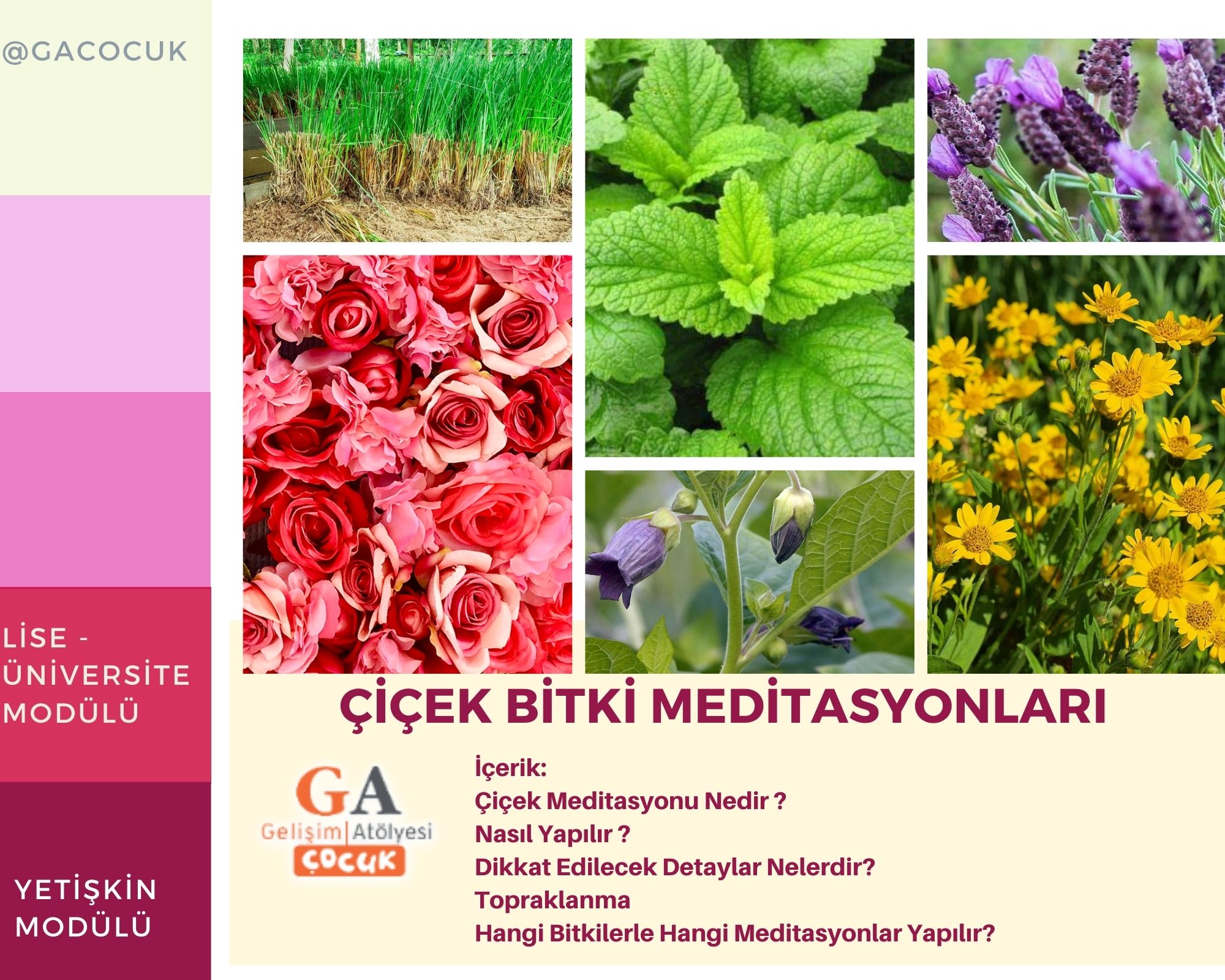 Meditasyon Atölyeleri 
